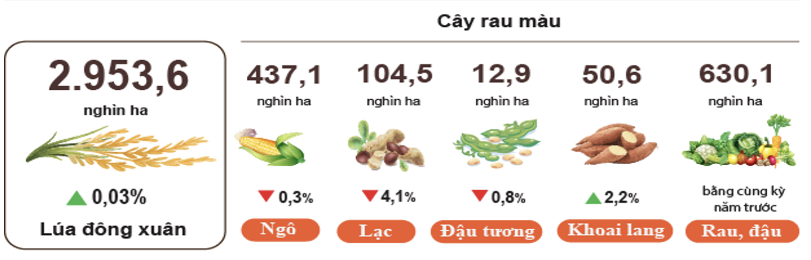 Môi trường - Diện tích rừng bị chặt, phá tăng mạnh trong tháng 5/2024