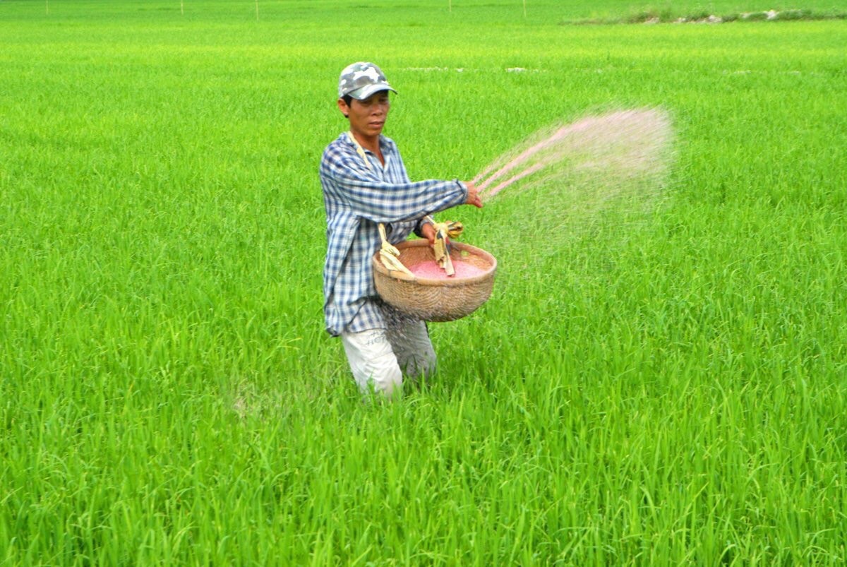 Môi trường - “Xu thế xanh đã đi vào từng thành tố nhỏ nhất của ngành phân bón” (Hình 2).