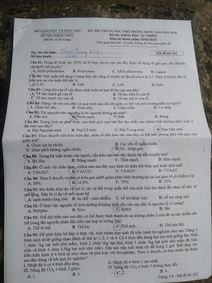 Đáp án môn Sinh học mã đề 202 THPT Quốc gia 2018 chuẩn nhất