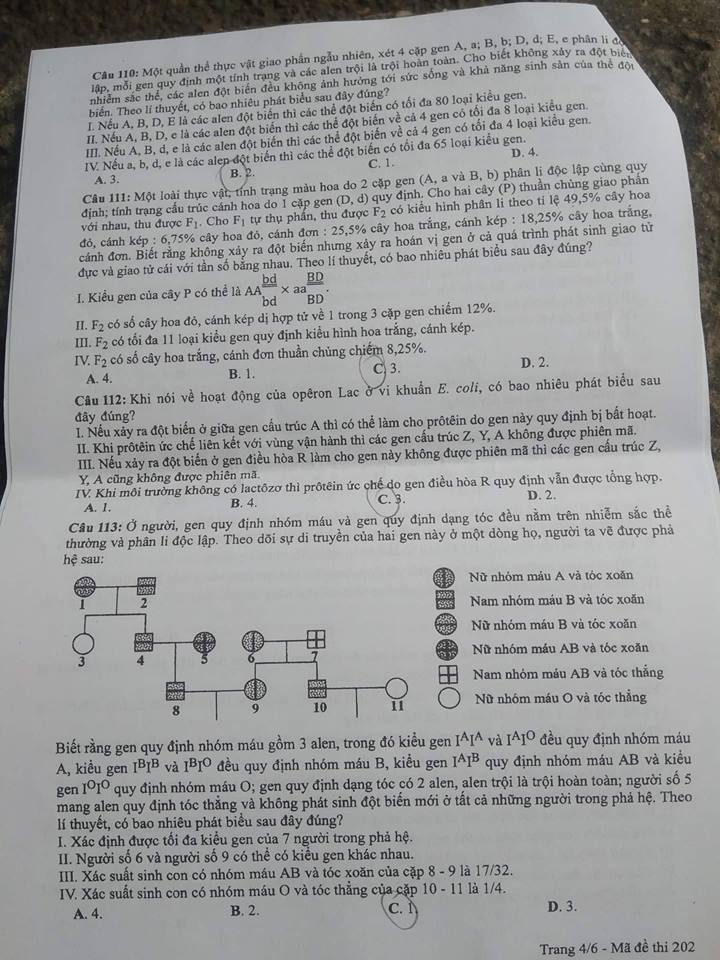Đáp án môn Sinh học mã đề 202 THPT Quốc gia 2018 chuẩn nhất (Hình 4).