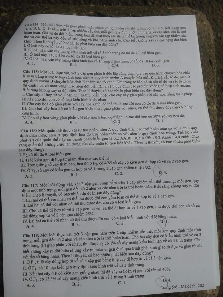 Đáp án môn Sinh học mã đề 202 THPT Quốc gia 2018 chuẩn nhất (Hình 5).