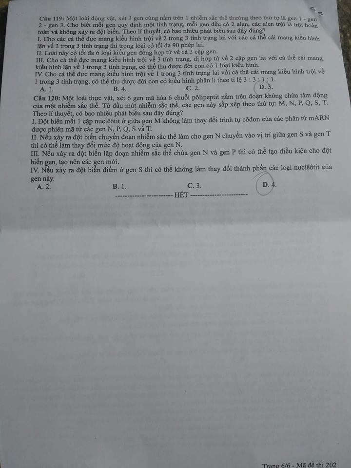 Đáp án môn Sinh học mã đề 202 THPT Quốc gia 2018 chuẩn nhất (Hình 6).