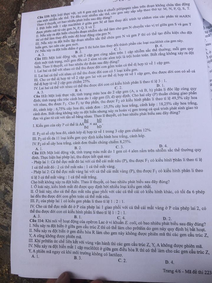 Đề thi, đáp án môn Sinh học mã đề 223 thi THPT Quốc gia 2018 chuẩn nhất (Hình 4).