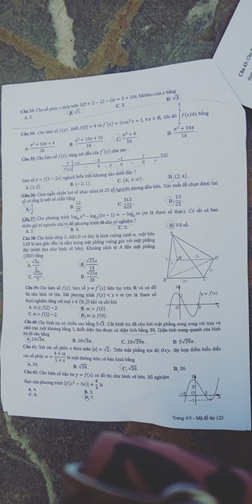 Giáo dục - Đáp án đề thi môn Toán thi THPT Quốc gia 2019 của bộ GD&ĐT mã đề 123 (Hình 4).