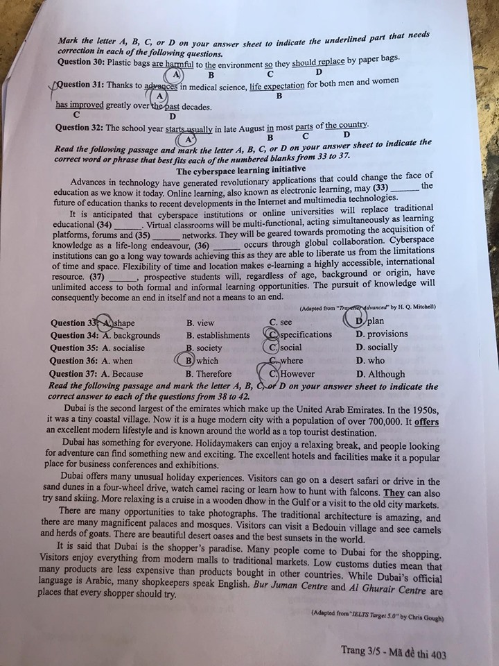 Giáo dục - Đáp án đề thi môn tiếng Anh mã đề 403 thi THPT Quốc gia 2019 của bộ GD&ĐT  (Hình 4).