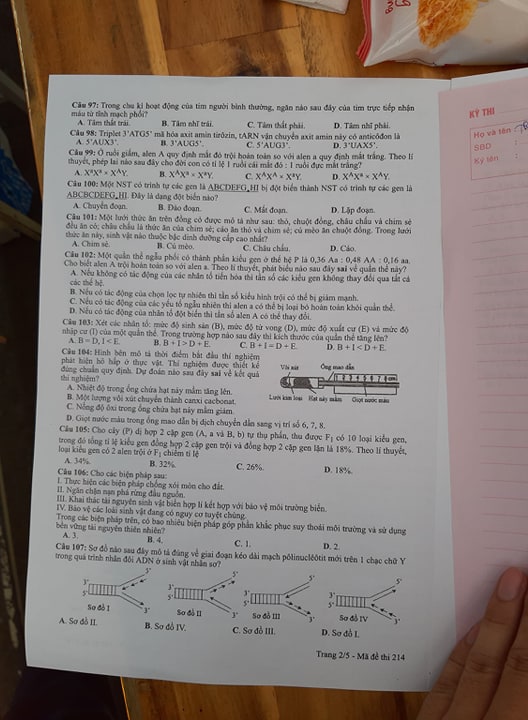 Giáo dục - Đáp án đề thi môn Sinh học mã đề 214 thi THPT Quốc gia 2019 chuẩn nhất (Hình 3).