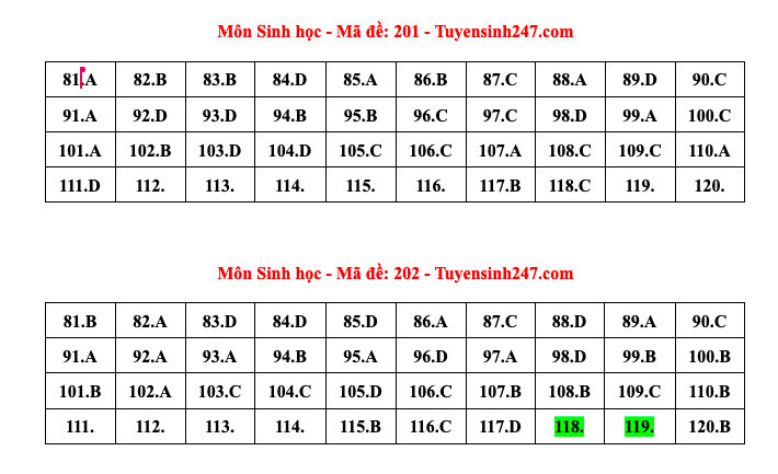 Giáo dục - Đáp án, đề thi môn Sinh học mã đề 201 kỳ thi THPT năm 2024 chuẩn nhất (Hình 7).