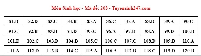 Giáo dục - Đáp án, đề thi môn Sinh học mã đề 203 kỳ thi THPT năm 2024 chuẩn nhất