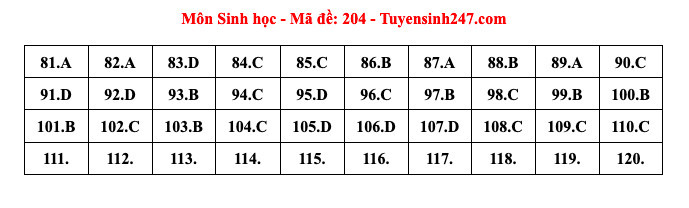 Giáo dục - Đáp án, đề thi môn Sinh học mã đề 204 kỳ thi THPT năm 2024 chuẩn nhất