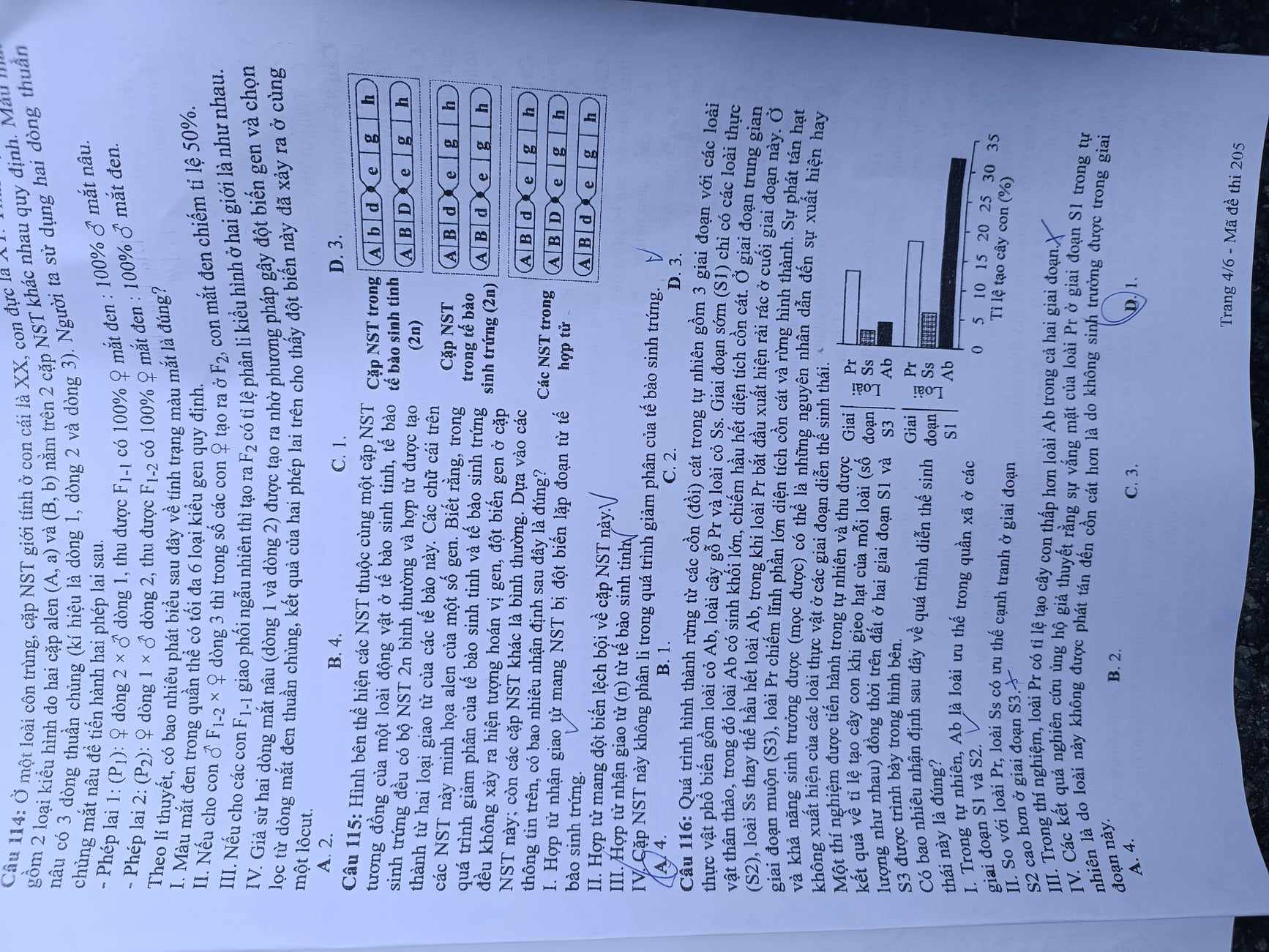 Giáo dục - Đáp án, đề thi môn Sinh học mã đề 205 kỳ thi THPT năm 2024 chuẩn nhất (Hình 3).