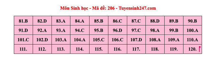 Giáo dục - Đáp án, đề thi môn Sinh học mã đề 206 kỳ thi THPT năm 2024 chuẩn nhất