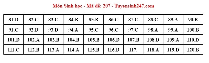 Giáo dục - Đáp án, đề thi môn Sinh học mã đề 207 kỳ thi THPT năm 2024 chuẩn nhất