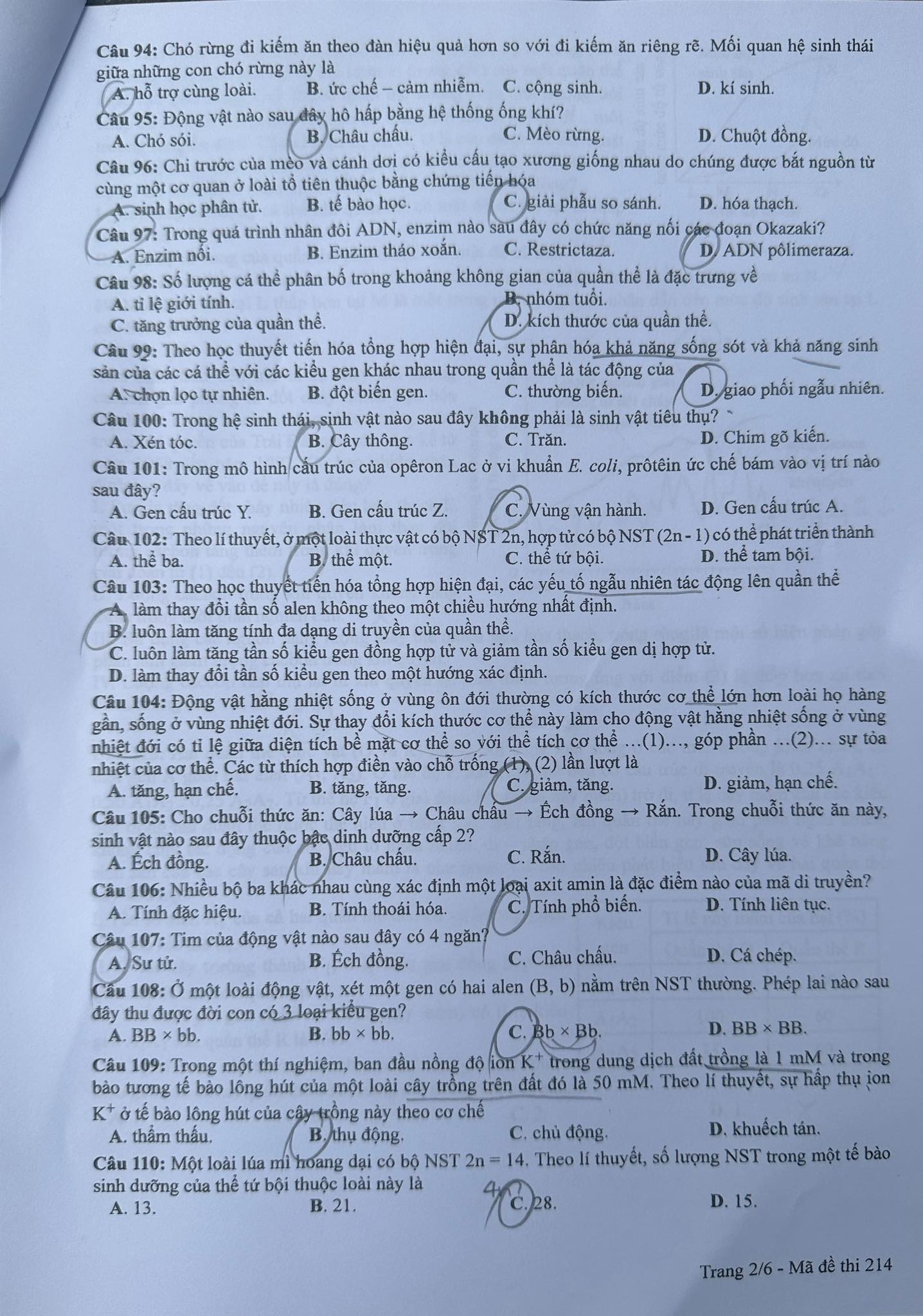 Giáo dục - Đáp án, đề thi môn Sinh học mã đề 214 kỳ thi THPT năm 2024 chuẩn nhất (Hình 2).