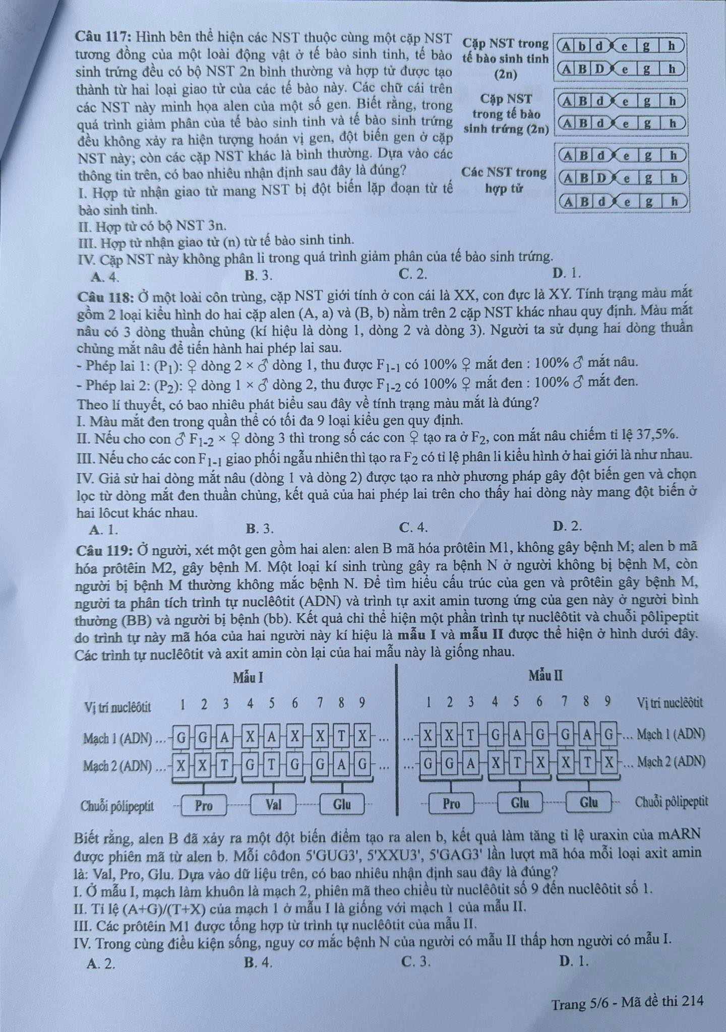 Giáo dục - Đáp án, đề thi môn Sinh học mã đề 214 kỳ thi THPT năm 2024 chuẩn nhất (Hình 5).