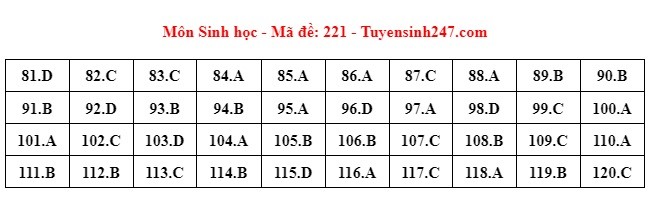 Giáo dục - Đáp án, đề thi môn Sinh học mã đề 221 kỳ thi THPT năm 2024 chuẩn nhất