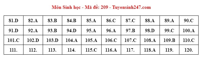 Giáo dục - Đáp án, đề thi môn Sinh học mã đề 209 kỳ thi THPT năm 2024 chuẩn nhất