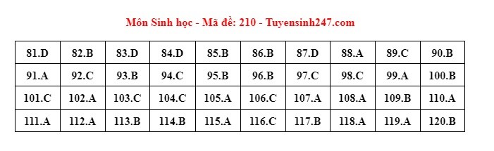 Giáo dục - Đáp án, đề thi môn Sinh học mã đề 210 kỳ thi THPT năm 2024 chuẩn nhất