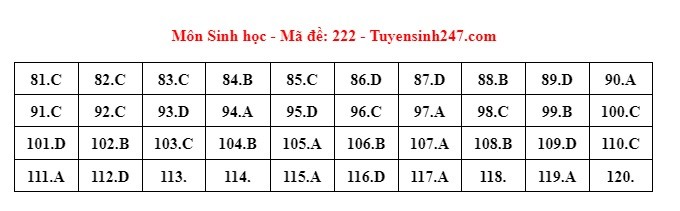 Giáo dục - Đáp án, đề thi môn Sinh học mã đề 222 kỳ thi THPT năm 2024 chuẩn nhất