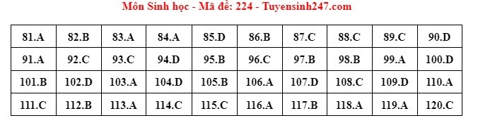 Giáo dục - Đáp án, đề thi môn Sinh học mã đề 224 kỳ thi THPT năm 2024 chuẩn nhất