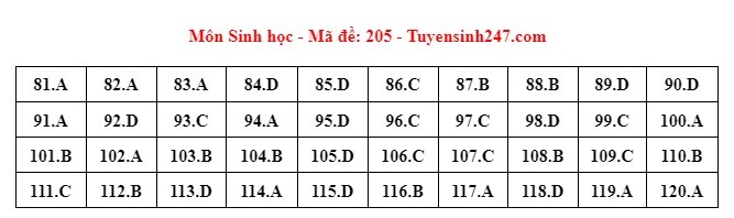 Giáo dục - Đáp án, đề thi môn Sinh học mã đề 205 kỳ thi THPT năm 2024 chuẩn nhất (Hình 6).