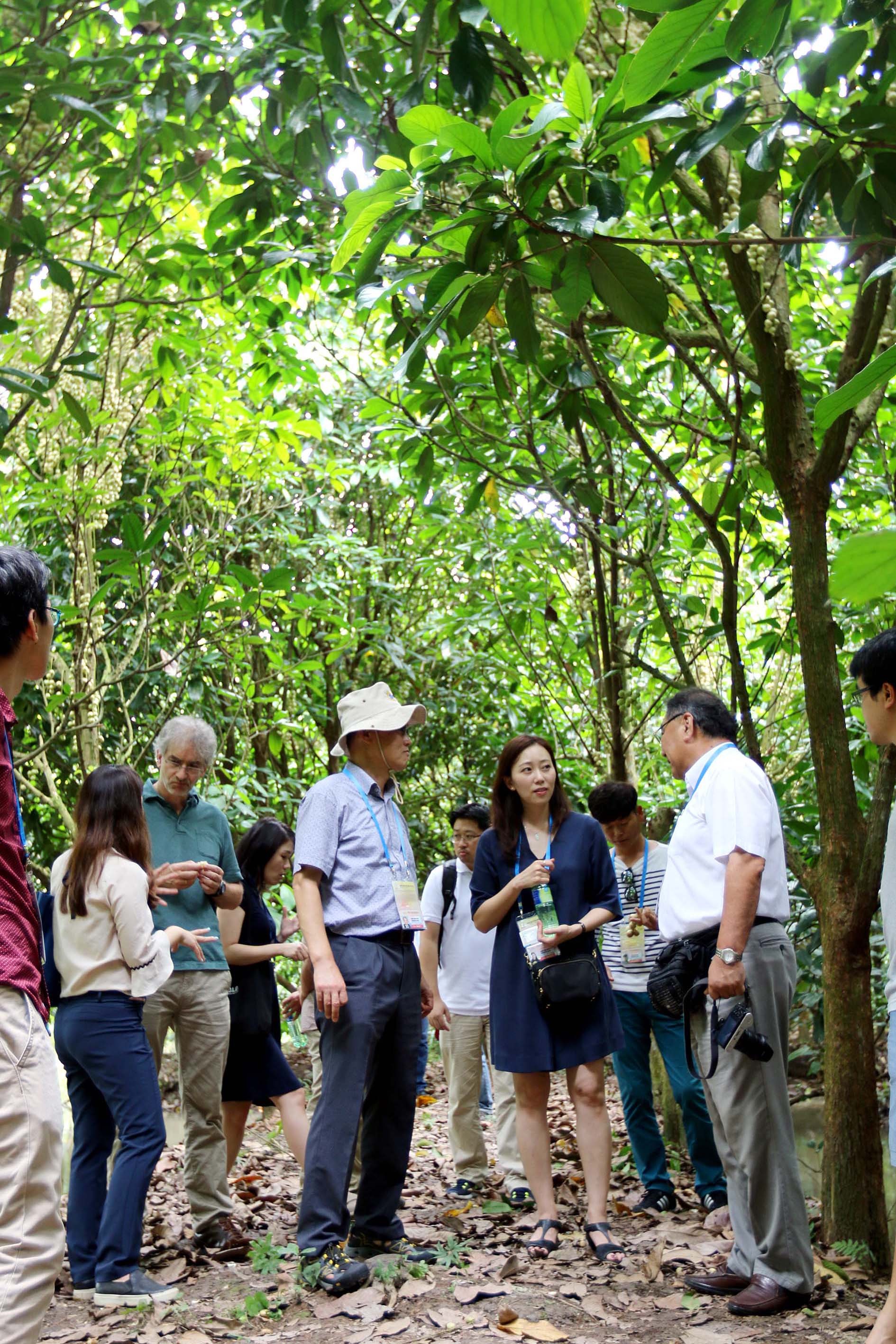 Xã hội - Đối thoại chính sách cao cấp về an ninh lương thực và phát triển nông nghiệp bền vững (Hình 3).