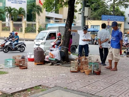 Dân sinh - Nét quê độc đáo ở khu chợ chuyên bán sâu bọ tại TP.HCM (Hình 7).