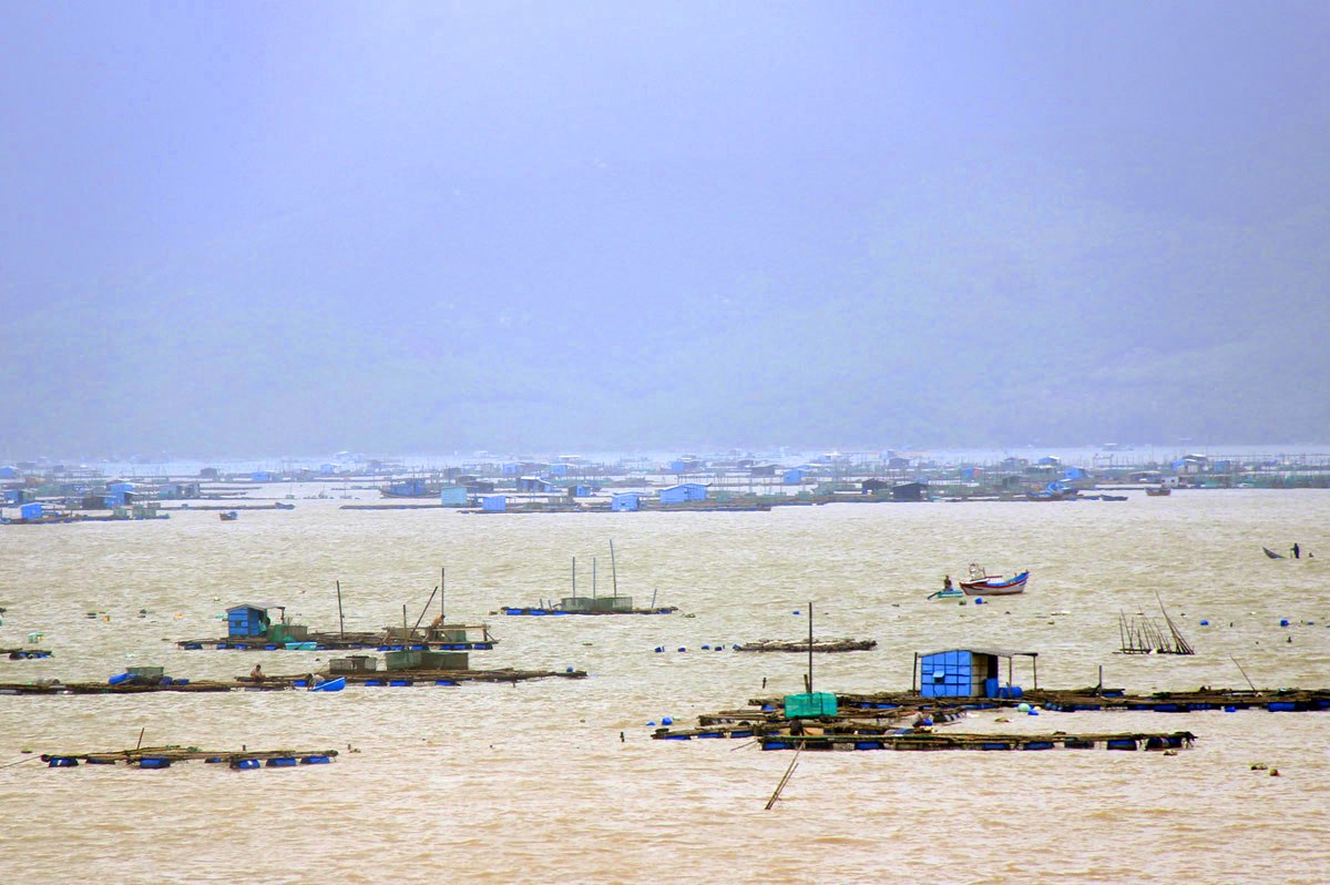 Xã hội - Sau bão số 12, nhiều tỉnh thiệt hại nặng nề về người và tài sản (Hình 2).
