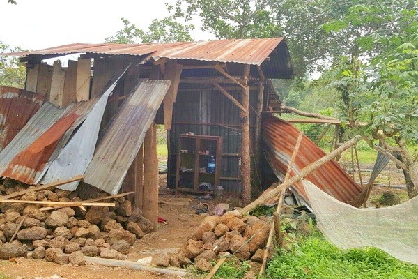 Đồng Nai: Voi rừng lại xuất hiện, tàn phá hoa màu người dân (Hình 3).