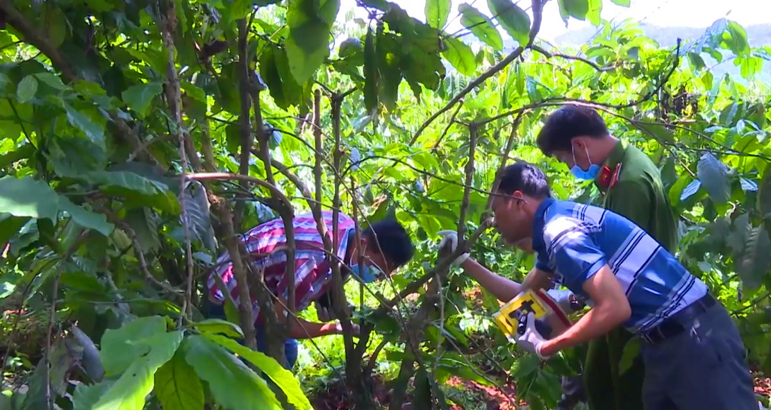 An ninh - Hình sự - Vụ thảm sát ba bà cháu, chôn xác trong vườn bơ ở Lâm Đồng: Hé lộ nguyên nhân nghi phạm ra tay man rợ (Hình 2).