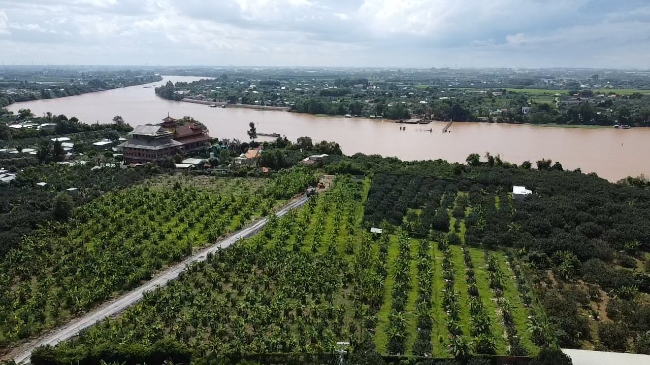 Dân sinh - Đồng Nai: Thi công đường dẫn lên cầu Bạch Đằng 2 (Hình 2).