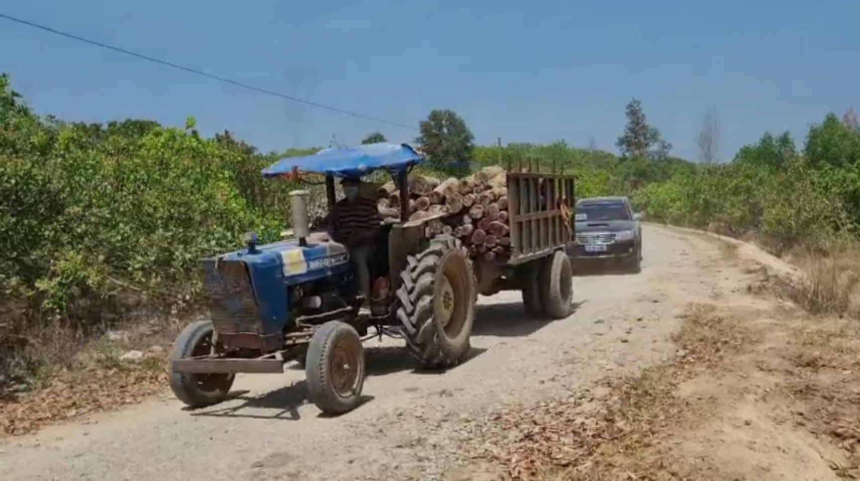 Hồ sơ điều tra - Đồng Nai: Khởi tố, thu hồi tang vật trong vụ phá rừng phòng hộ (Hình 3).