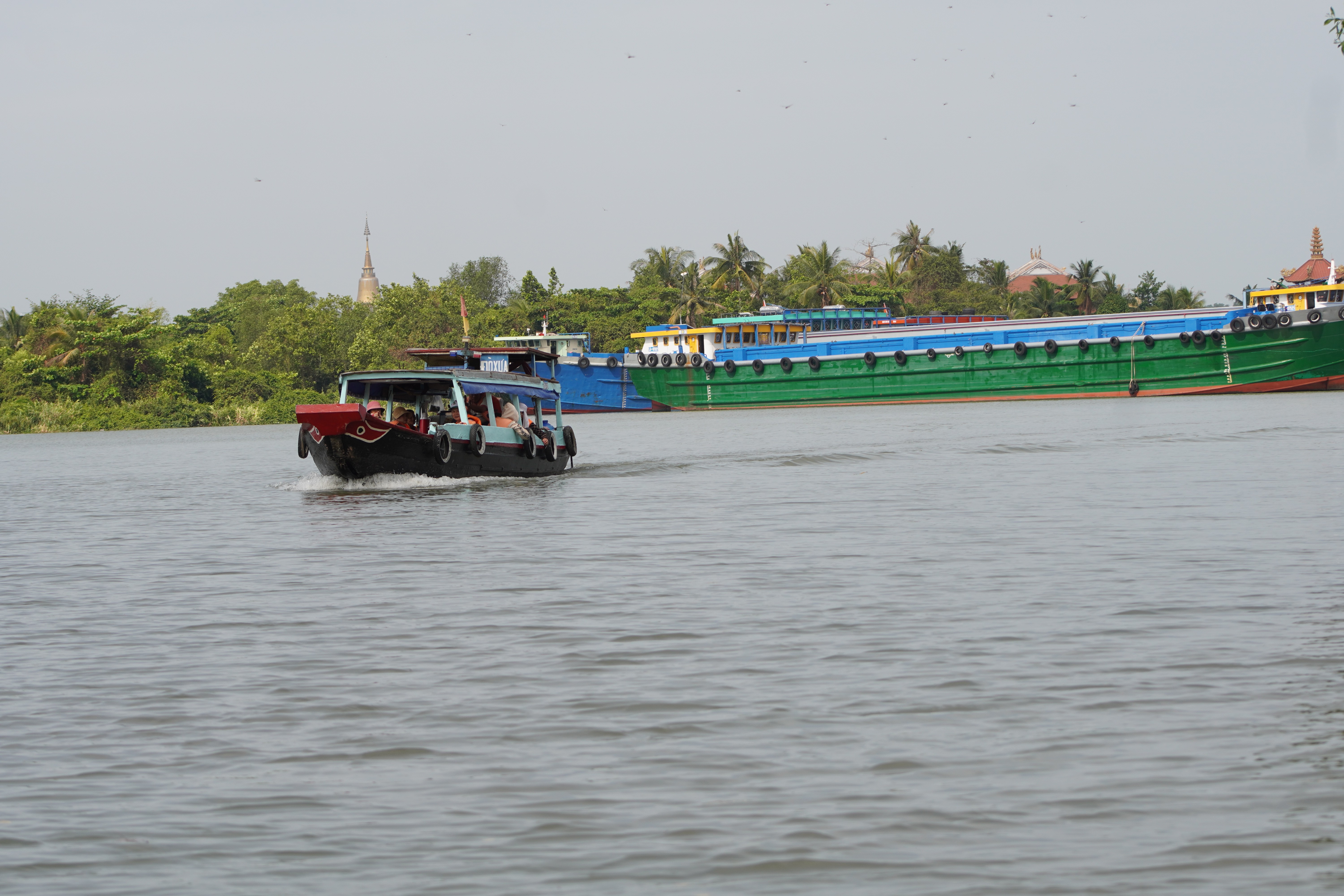 Dân sinh - Đồng Nai: Chuyến đò chở khách viếng chùa Phước Long ngày đầu năm (Hình 7).