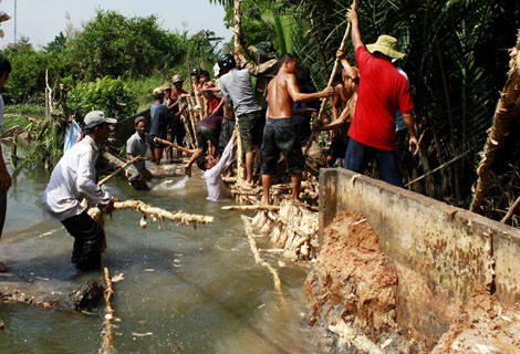 Xã hội - Gia cố đê bao ứng phó áp thấp nhiệt đới