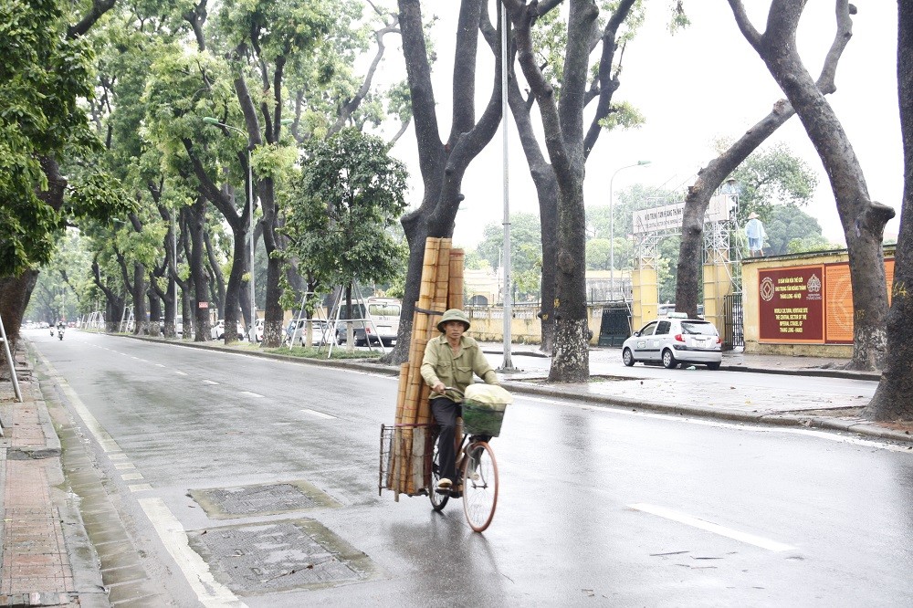 Cha vần về trên dáng liêu siêu