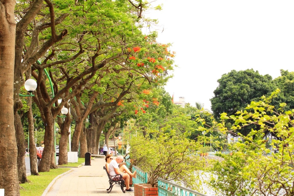 Hoa phượng trong tâm khảm biết bao thế hệ học trò vẫn mãi là miền thương nhớ.