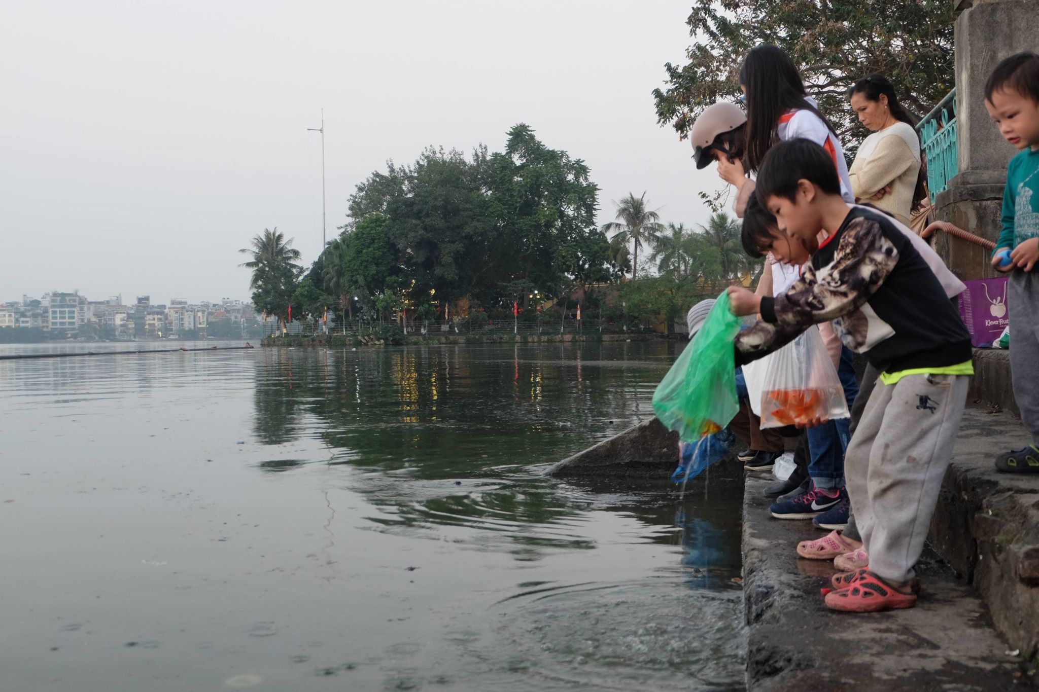 Văn hoá - Người dân Thủ đô nhộn nhịp thả cá tiễn ông Táo về trời (Hình 8).