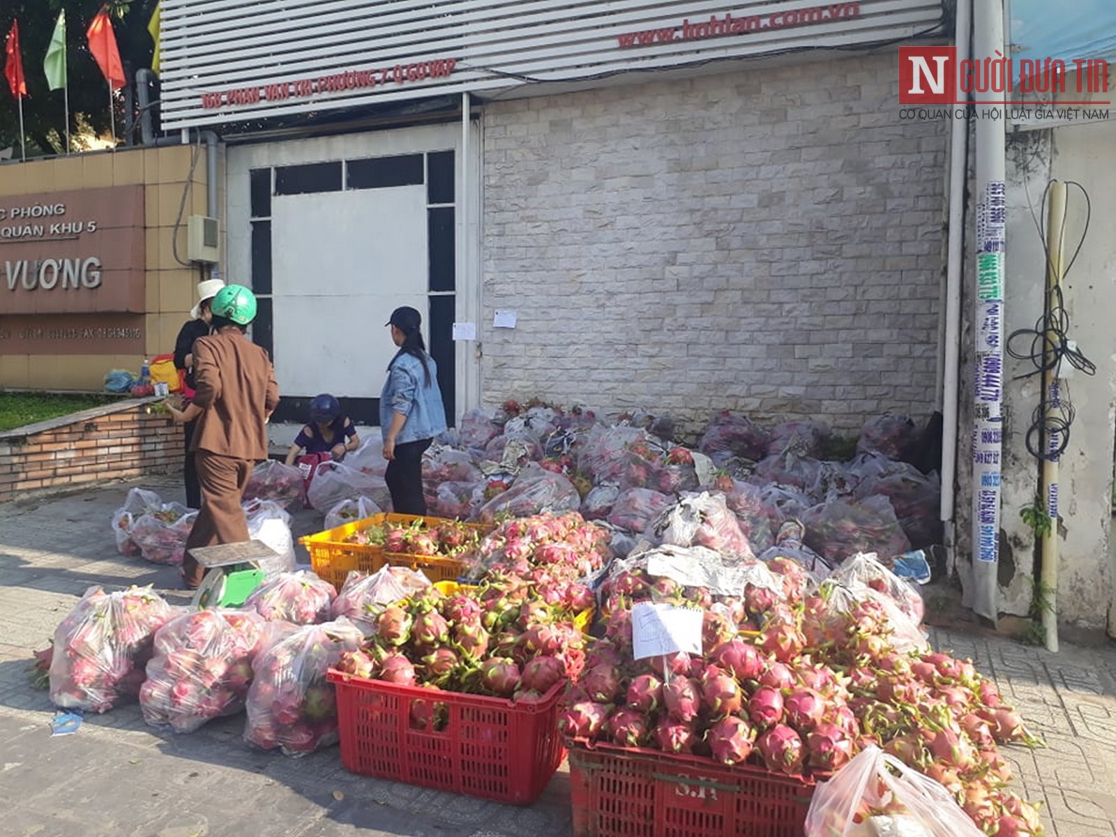 Tiêu dùng & Dư luận - Thanh long Bình Thuận rớt giá 'trôi dạt' về TP.HCM (Hình 2).