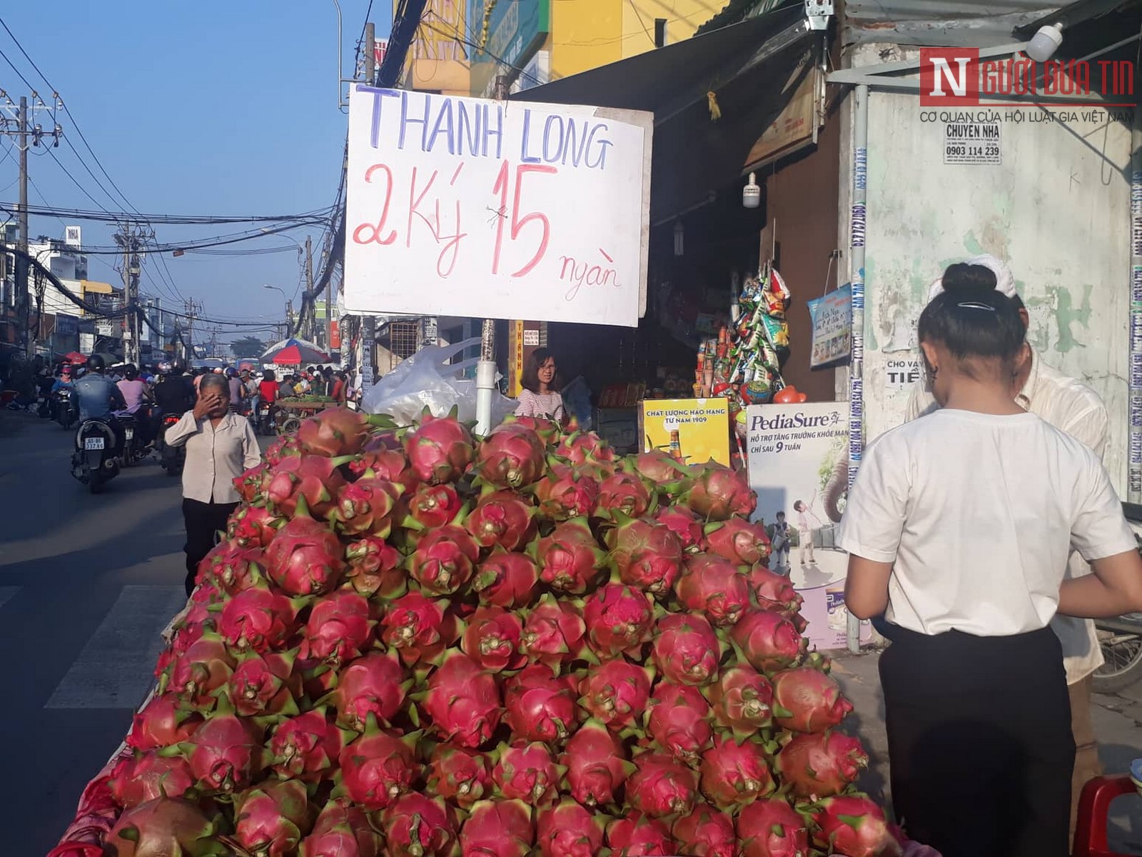 Tiêu dùng & Dư luận - Thanh long Bình Thuận rớt giá 'trôi dạt' về TP.HCM