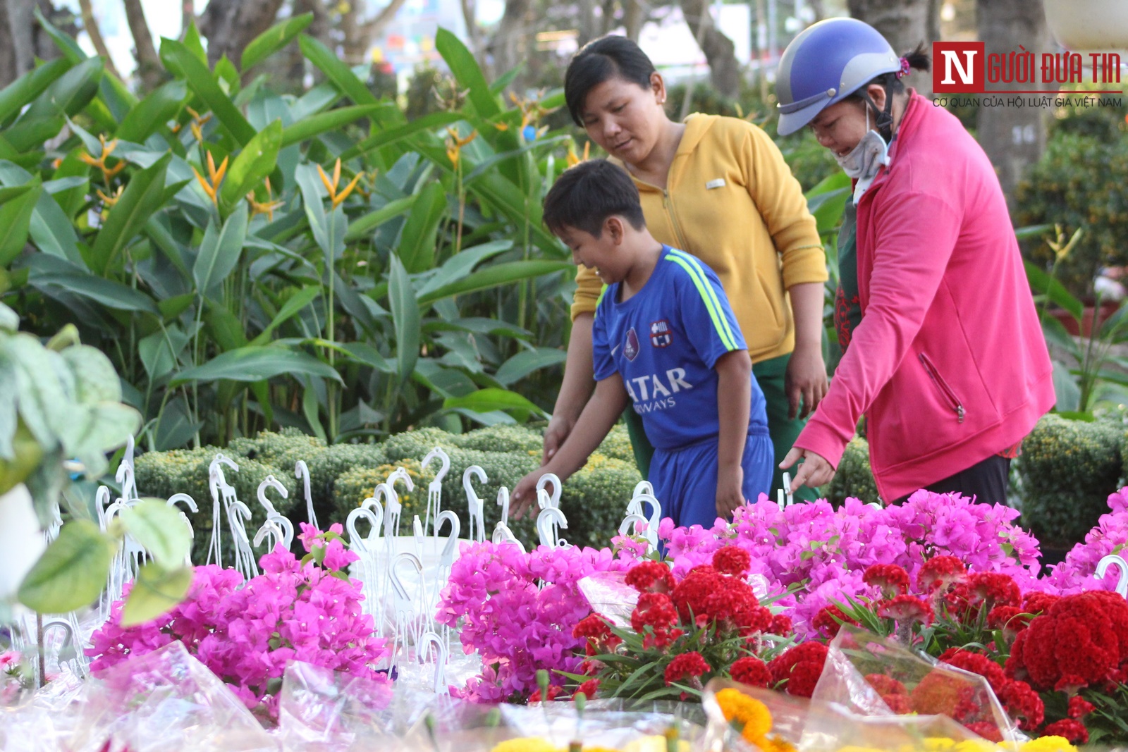 Chợ hoa Tết đã bắt đầu nhộn nhịp ở công viên Lê Văn Tám, quận 1. (Ảnh: Hà Nhân).