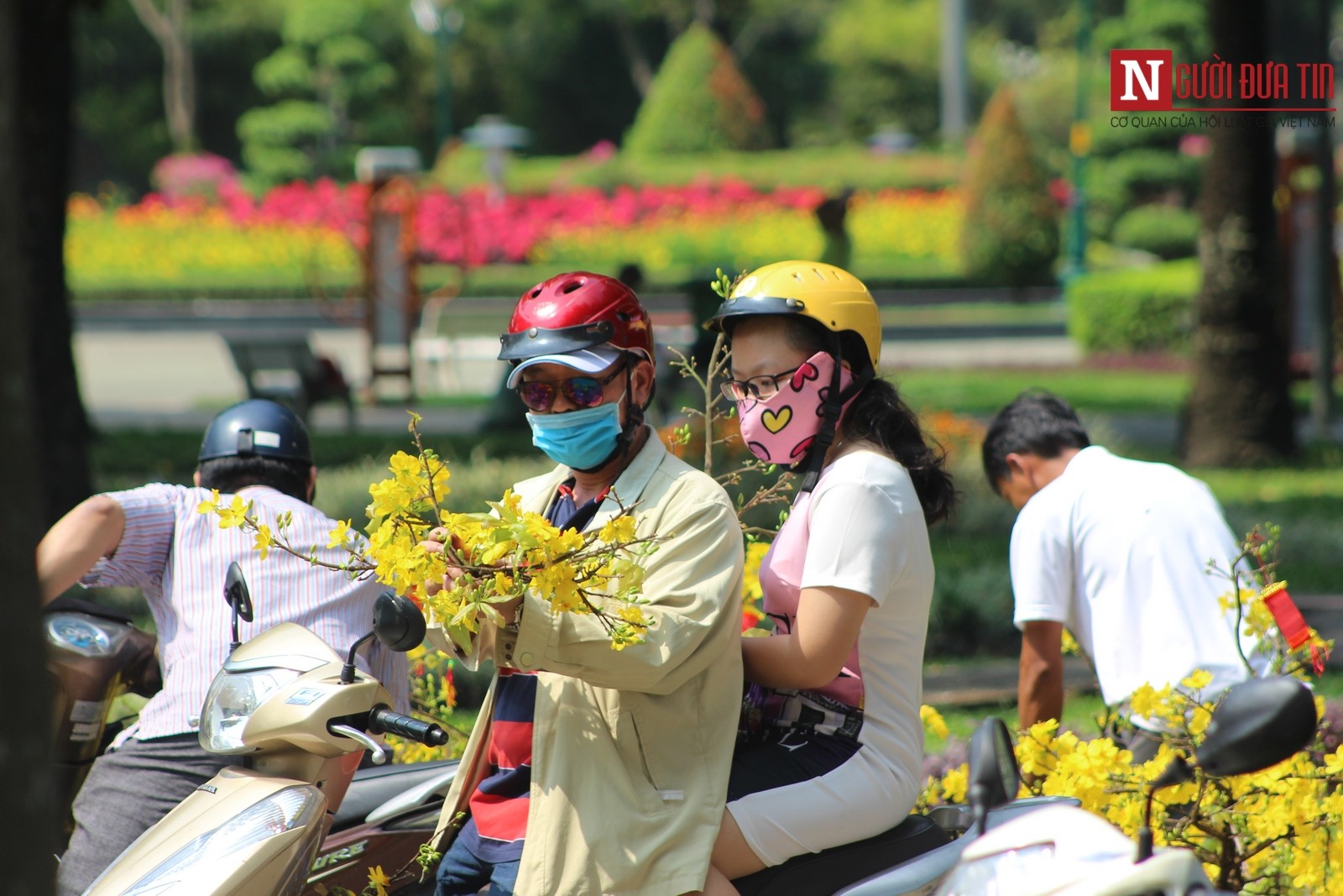 Thậm chí, có hiện tượng chỉ mua vài cành mai với giá vài trăm ngàn đồng. (Ảnh: Hà Nhân).