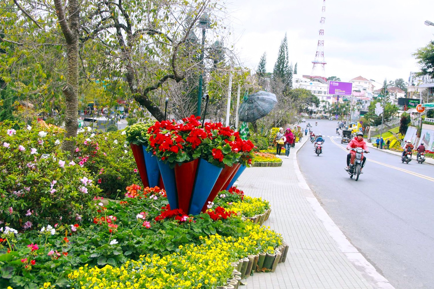 Văn hoá - Lâm Đồng: Kiên quyết xử lý “cò du lịch” để phục vụ Festival Hoa Đà Lạt (Hình 2).