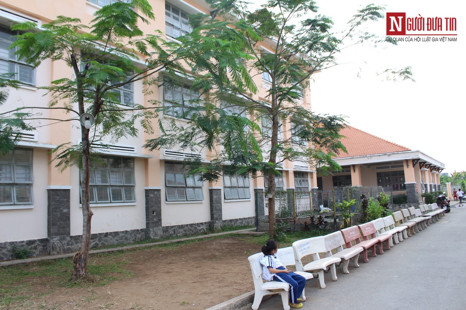 Tin nhanh - TP.HCM: Cử tri phàn nàn vì khiếu nại đất đai khiến trường học hai năm chưa xây xong (Hình 4).