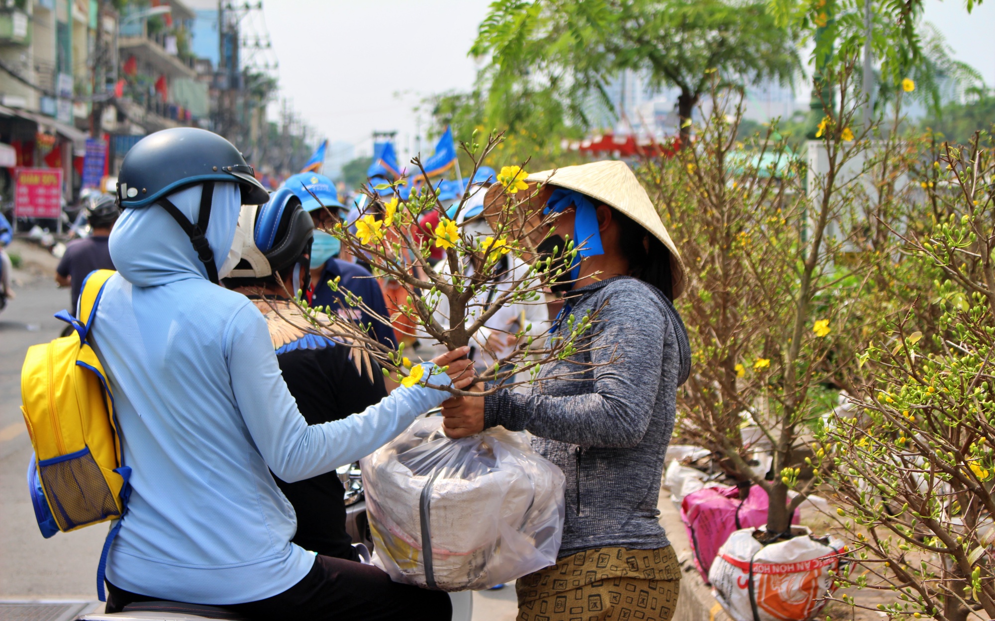 Văn hoá - Tp.HCM: Nhộn nhịp đưa mai vàng “trên bến dưới thuyền” về nhà đón Tết