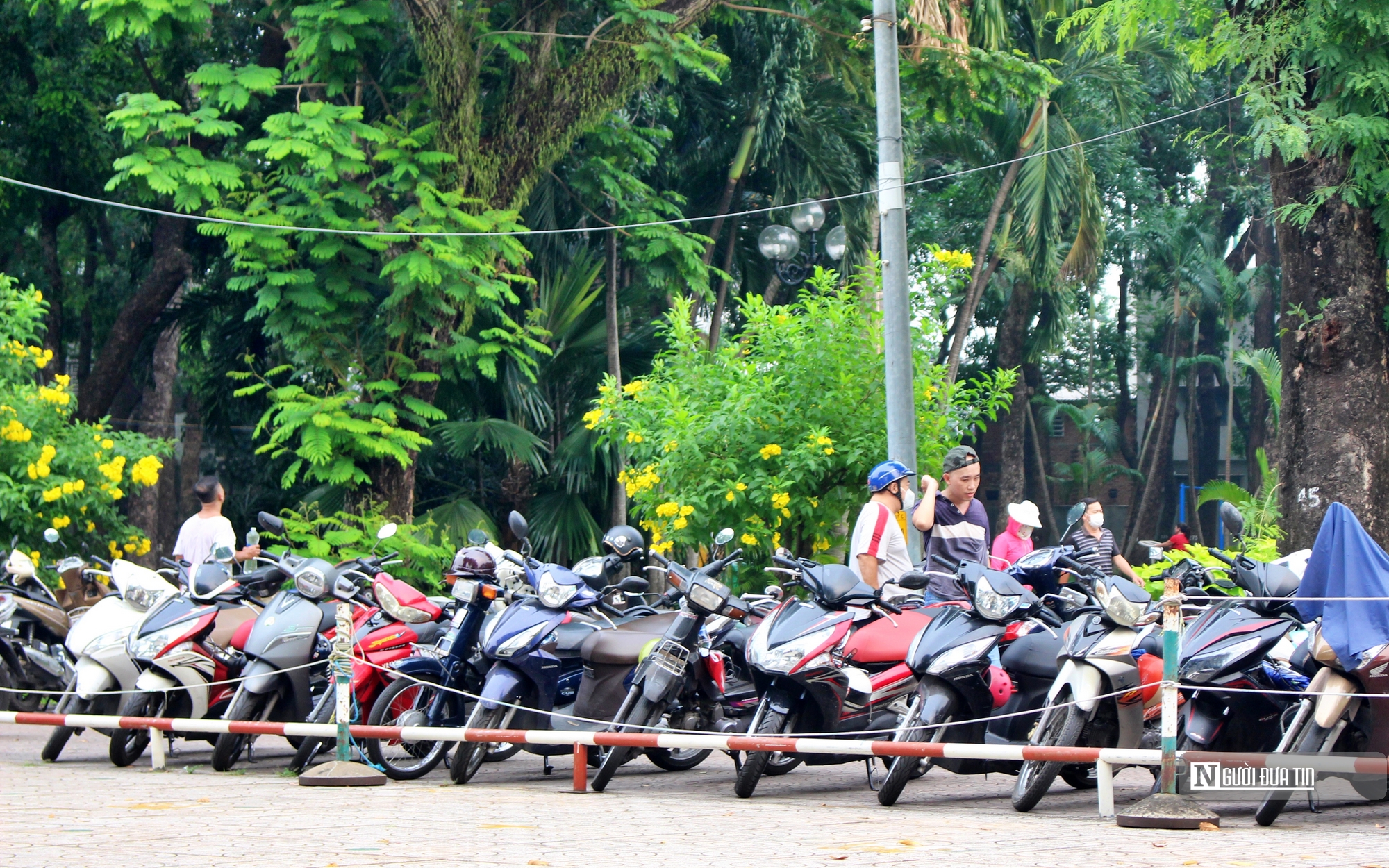 Dân sinh - Tp.HCM: Vì sao hơn 390 công viên không có bãi giữ xe? (Hình 10).