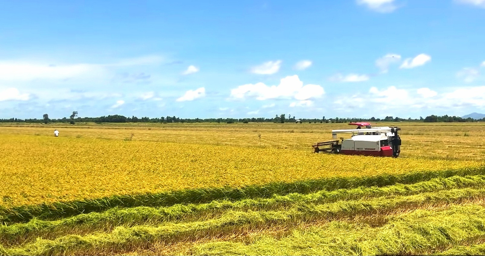 Kinh tế vĩ mô - Kiên Giang: Kinh tế 5 tháng đầu năm 2023 tiếp tục tăng trưởng khá