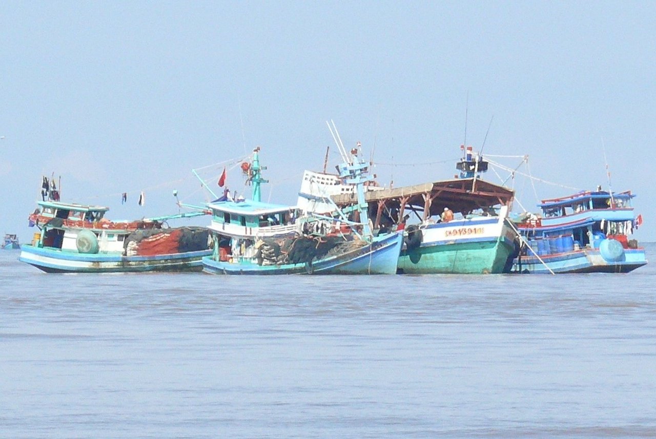 Dân sinh - Cà Mau: Sử dụng phần mềm báo cáo dữ liệu IUU