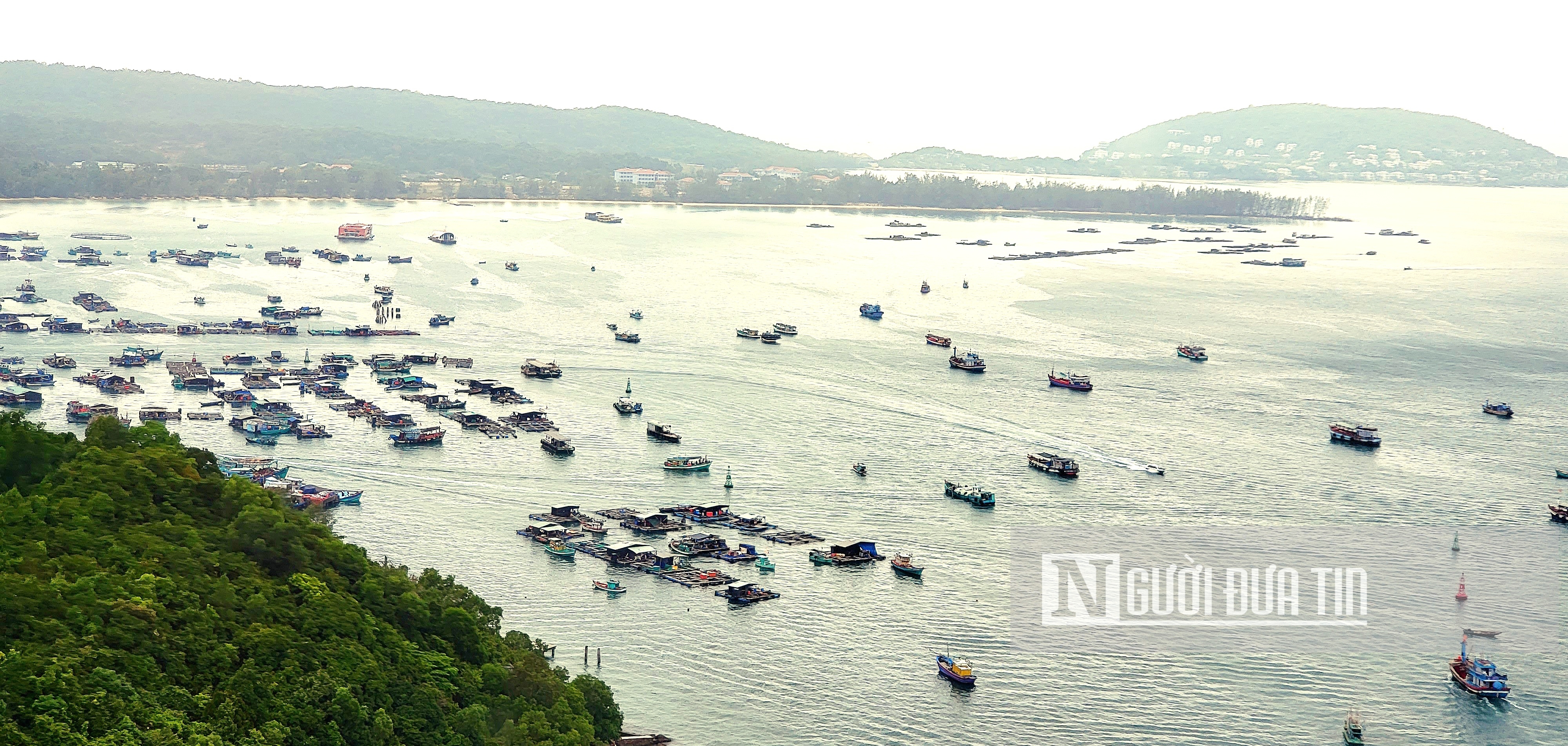 Dân sinh - Vì sao sản lượng khai thác thủy sản trên biển Kiên Giang giảm mạnh? (Hình 2).