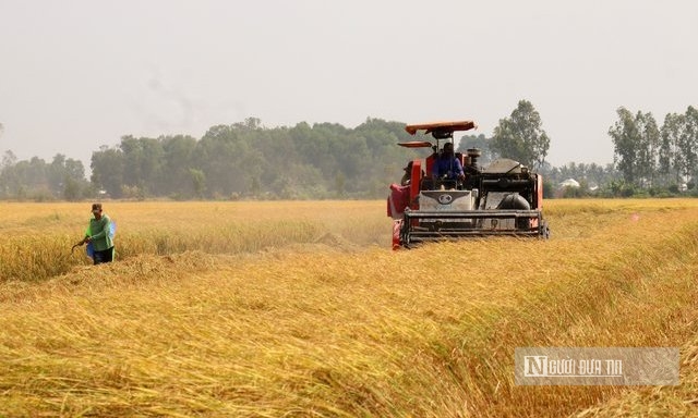 Kinh tế vĩ mô - Kiên Giang: Kim ngạch xuất khẩu tăng hơn 21% (Hình 2).