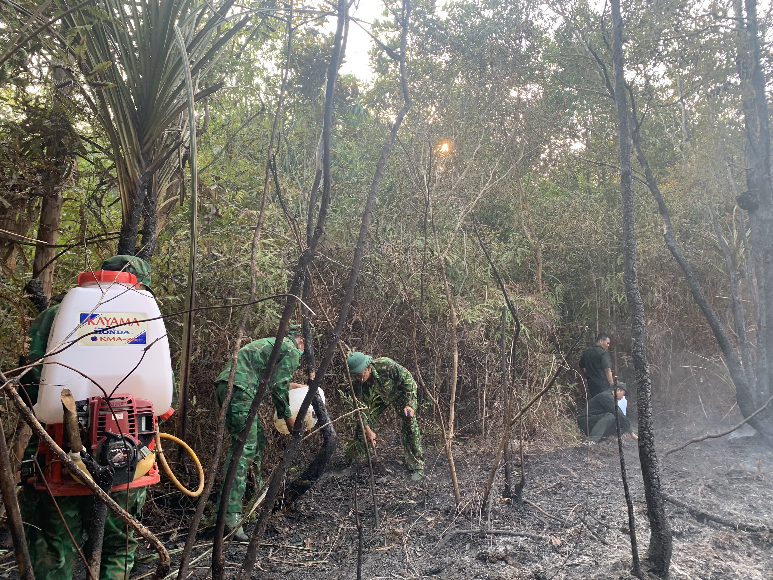 Dân sinh - Kiên Giang: Tăng cường các biện pháp cấp bách phòng chống cháy rừng (Hình 2).