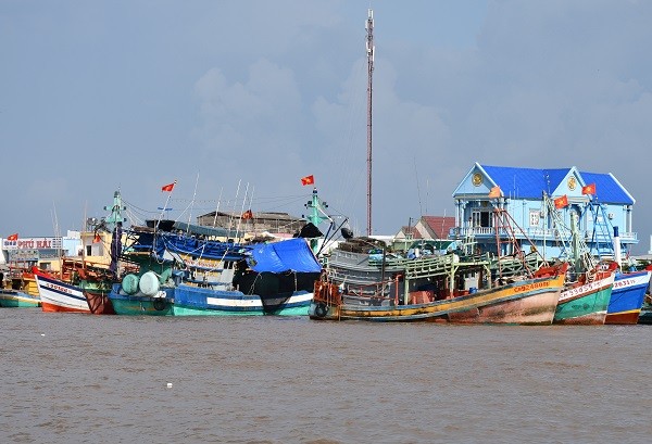 Dân sinh - Cà Mau: Tiếp tục tăng cường chống khai thác IUU (Hình 2).